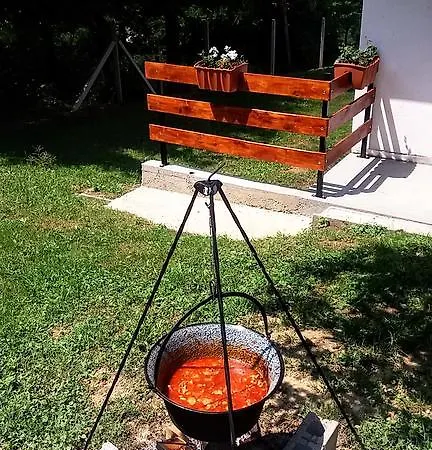 Panorama Vendeghaz *
