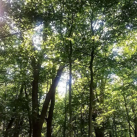 Panorama Vendeghaz *
